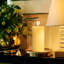 Petal Unscented Candle Accessories