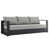 Gris sélectionné