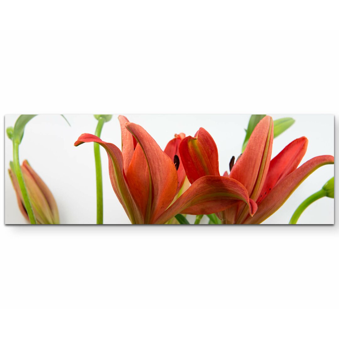 Leinwandbild Rote asiatische Lilien