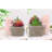 Geet Planter Box