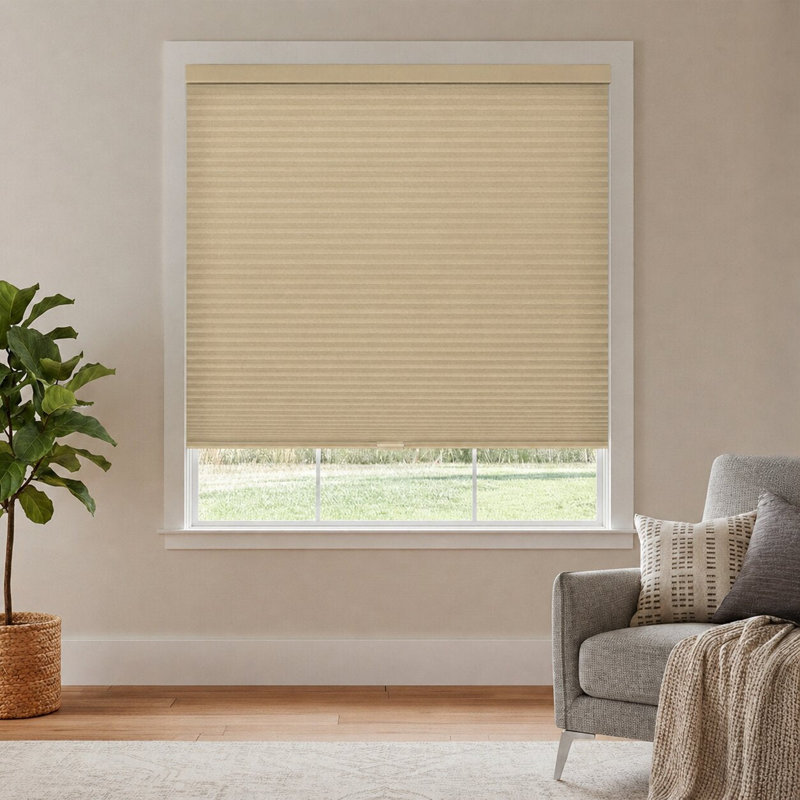 Store alvéolaire alvéolaire à double cellule sans cordon filtrant la lumière, L 70,25 po x H 48 po
