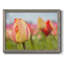 Spring Sherbet - reproduction de photo sur toile-96289870-96289871