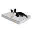 Coussin Pet-61797615