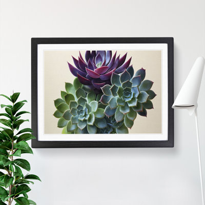 Watercolour Succulent Plant Vol.2 - Framed Print