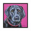 « labrador », peinture sur toile tendue Hippie Hound Studios-72395869-72442885-72442887