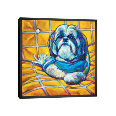 Shih Tzu by Robert Phelps - Print on Canvas