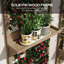Pikulova Plant Stand - Set of 2-1577148307