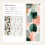 Abstract Circle Wallpaper Green Peach Peel And Stick Removable Wall Decor
