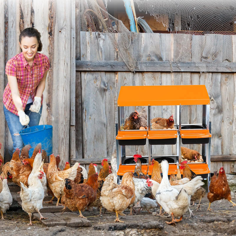 Boîtes de nidification à poulets 6/8/10, Orange