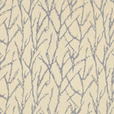 Allure Fabric