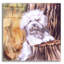 «About That Haircut» par Barbara Keith - impression non encadrée-700864747