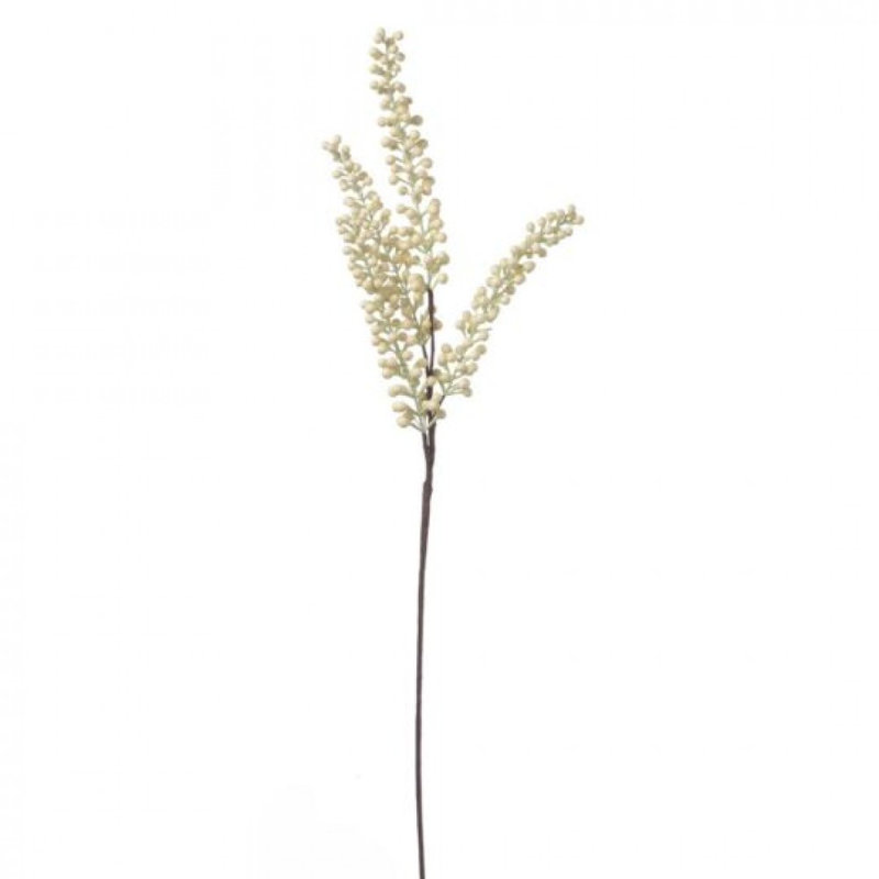 Fumée de baies bleues, plantes et arbres, Crème, crème