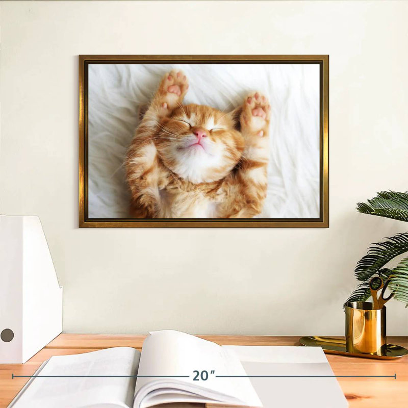 Sleepy Kitty, Cadre flottant doré, 13 po x 9 po