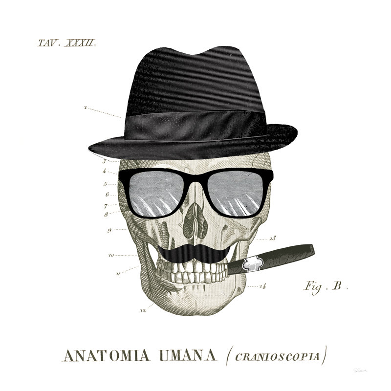 Dandy Bones V - Wrapped Canvas Print, 30cm H x 30cm W x 3.8cm D
