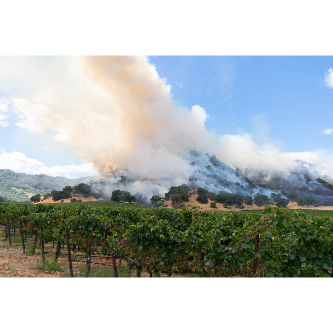 Leinwandbild Vineyard Fire