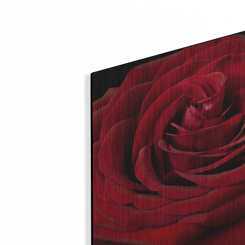 «Red Rose 02» par Tom Quartermaine, art mural en métal, H 12 po x l 12 po