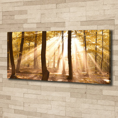 Autumn Forest - No Frame Print on Canvas