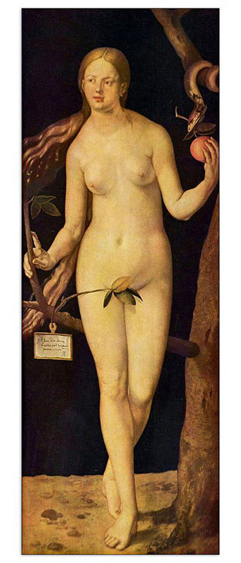 Albrecht Dürer - Wrapped Canvas Print