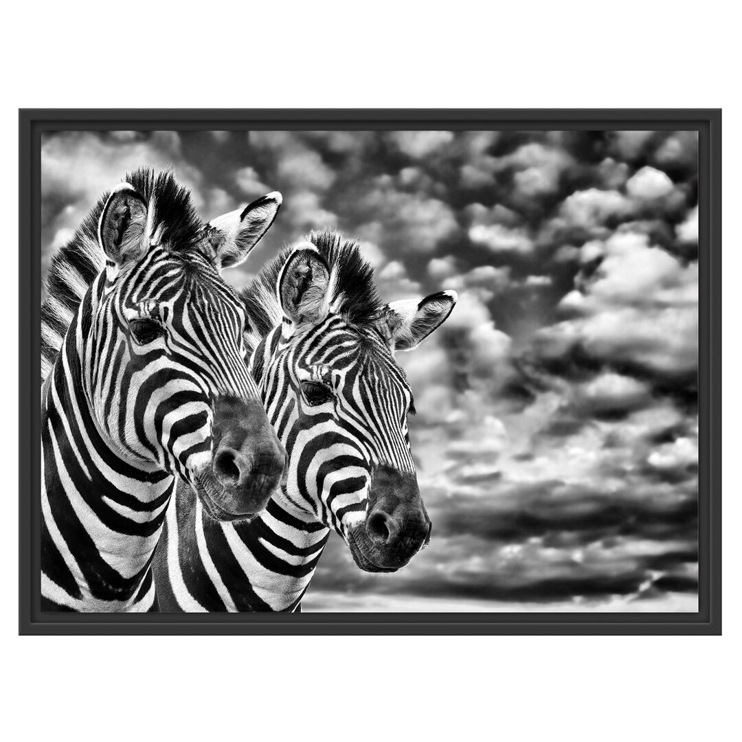 Gerahmtes Wandbild Zebra Pärchen