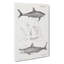 Illustrations of Sharks by J.E. De Kay - Wrapped Canvas-55304263