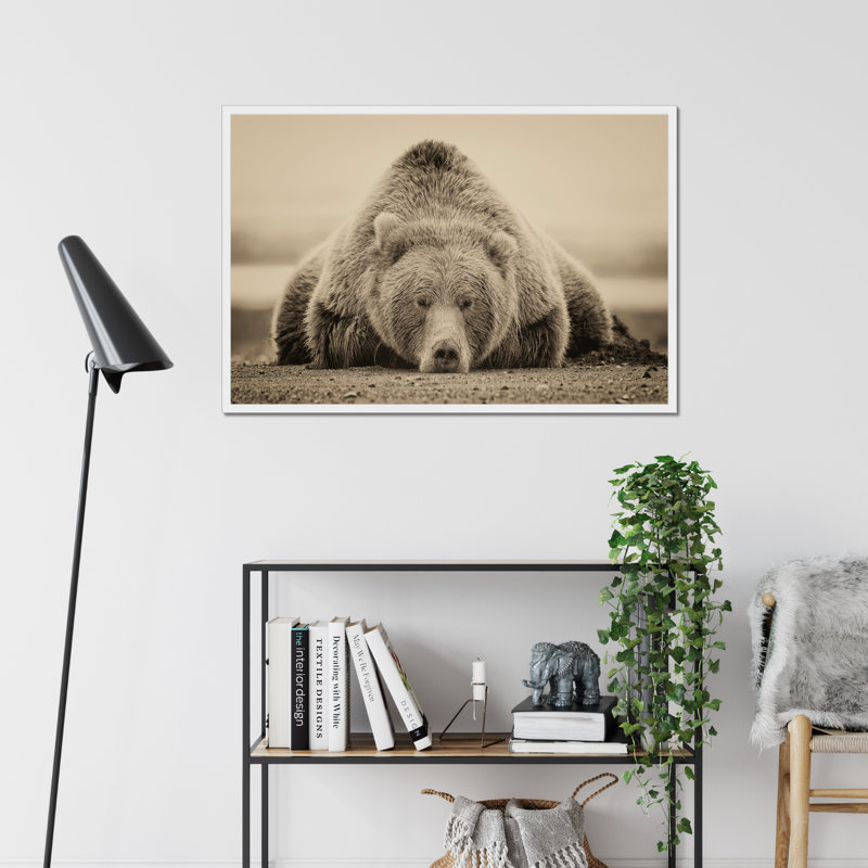 Deep Sleep by PHBurchett - Print, 65cm H x 95cm W, White Framed Paper Print