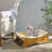 Cat Scratch Lounger