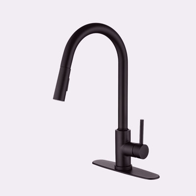 Kitchen Faucet With Pull Down Sprayer