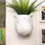 Wall Planter
