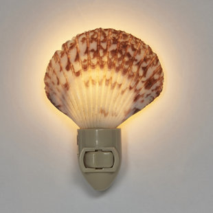 Assorted Pecten LED Night Light