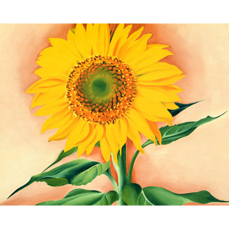 Un tournesol de Maggie, 1937, H 19 po x l 24 po