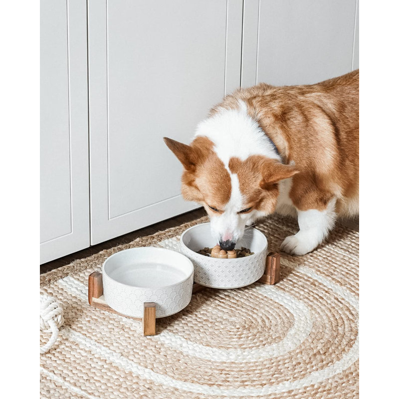 Ensemble de bols pour chien avec support en bois d'acacia - bols en céramique pour chiots de 1,5 tasse