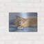 «Jack» par Janet Pidoux-101657079