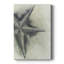 Found Starfish I - galerie sur mesure-118050693