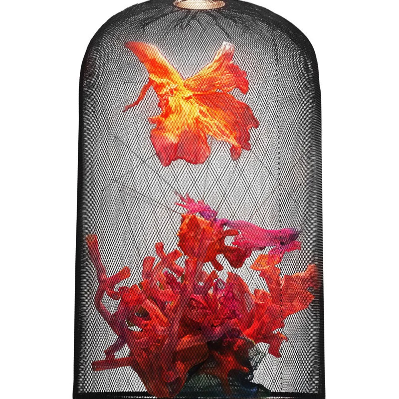 Curio 1 - Light Pendant