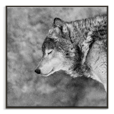 Print on Canvas