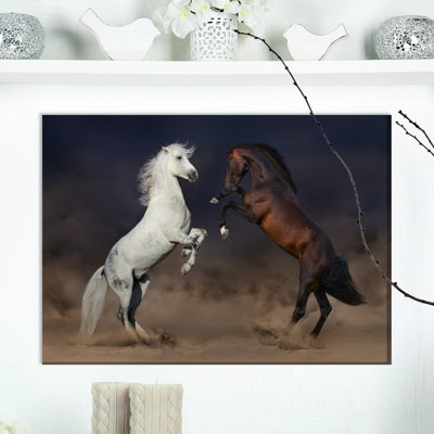 « horse combat en désert », reproduction de photo sur toile tendue
