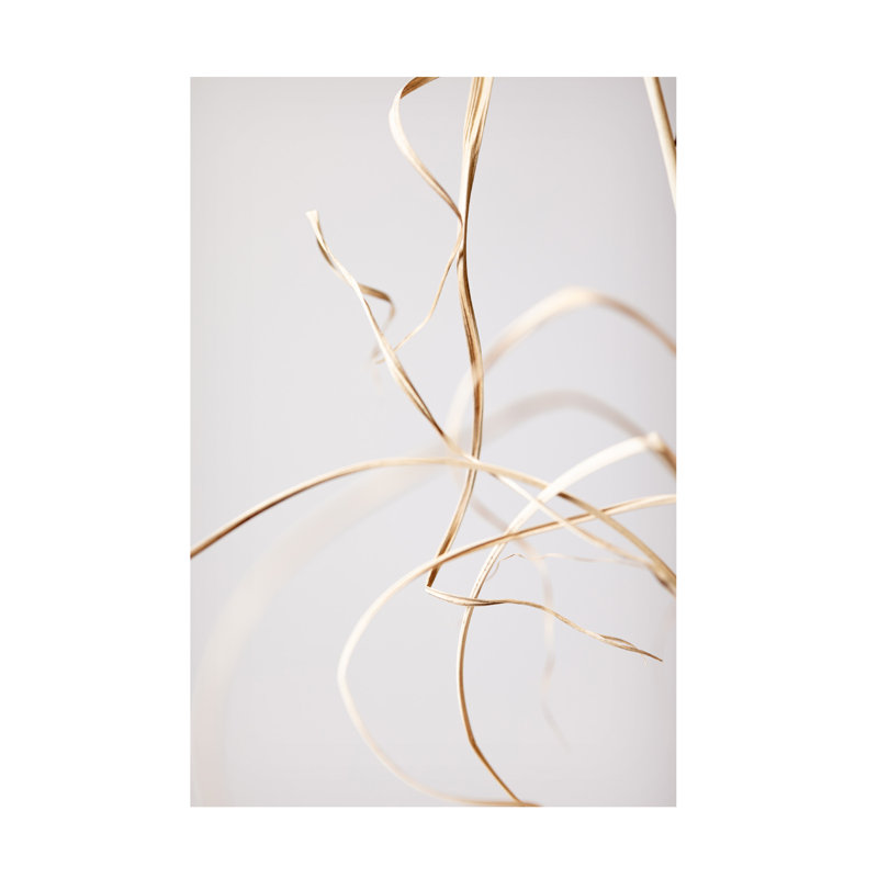 Œuvre d'art sur toile, brun, H 19 po x l 12 po x P 2 po