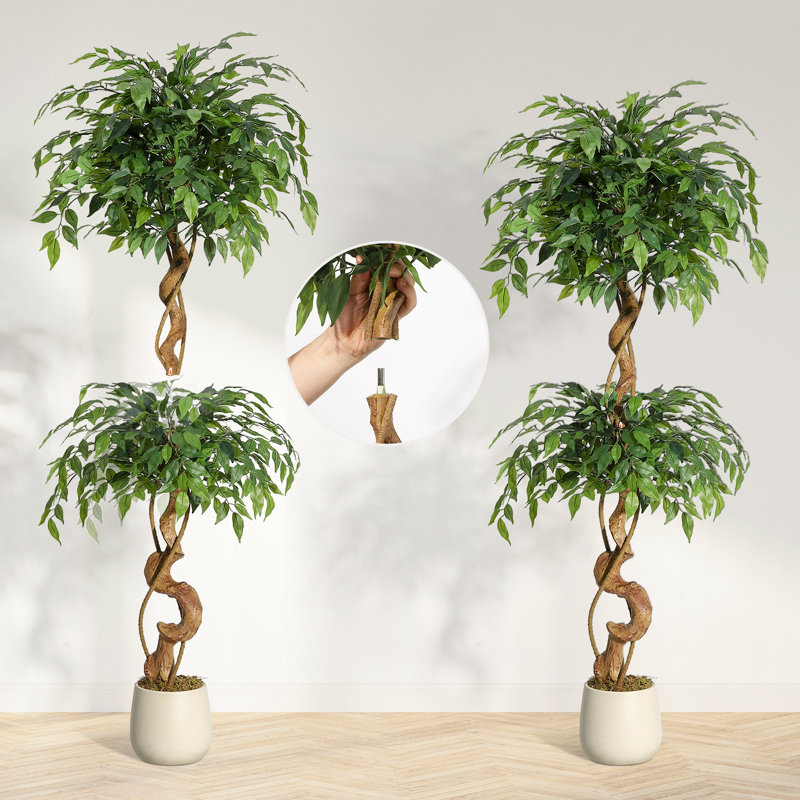 Plant, 152cm H x 20cm W x 20cm D