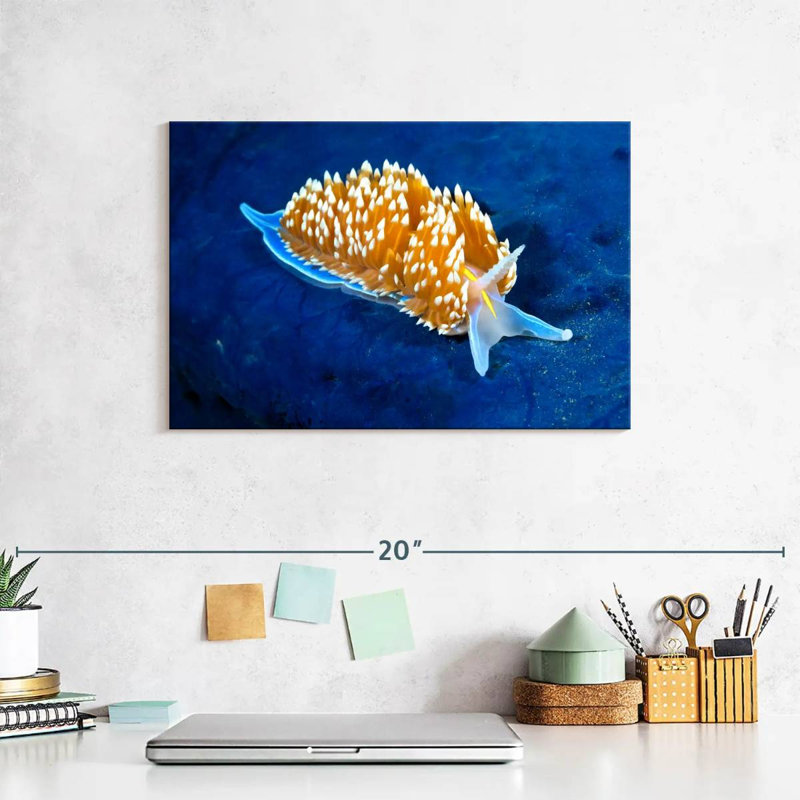 Glowing Nudibranch, 8" H x 12" W