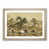 Oak Framed selected