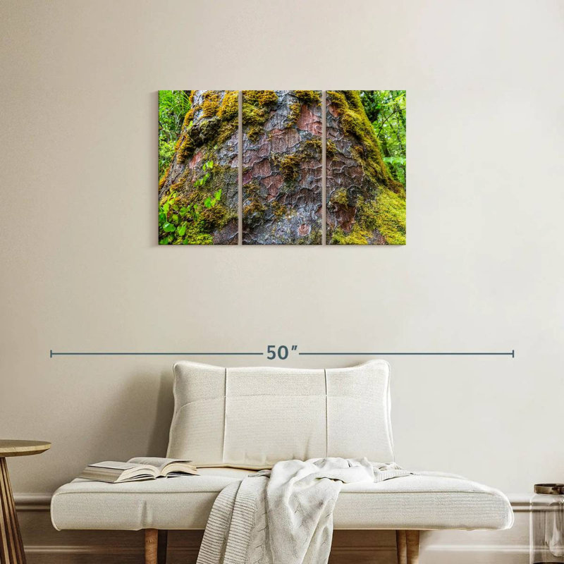 Mossy Kauri Tree, 20" H x 33" W