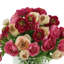 Silk Ranunculus Faux Floral in Vase-308528441