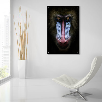 " Mandrill " by SD Smart
