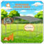 Steel Dog Fence with Canopy Dog Kennel Enclosure