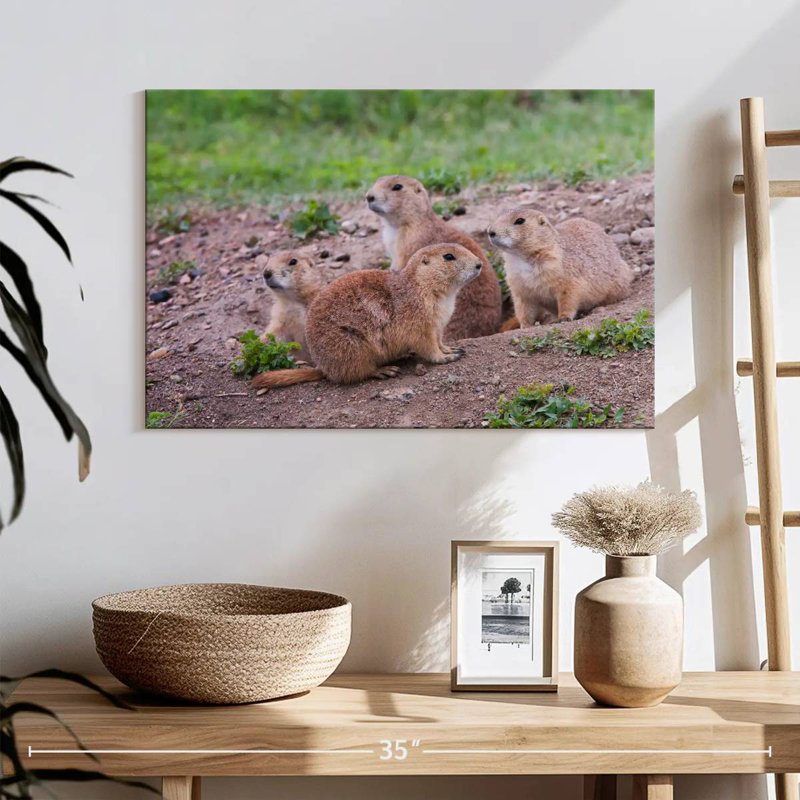 Brampt Forest Brampt Nursery, 24" H x 36" W