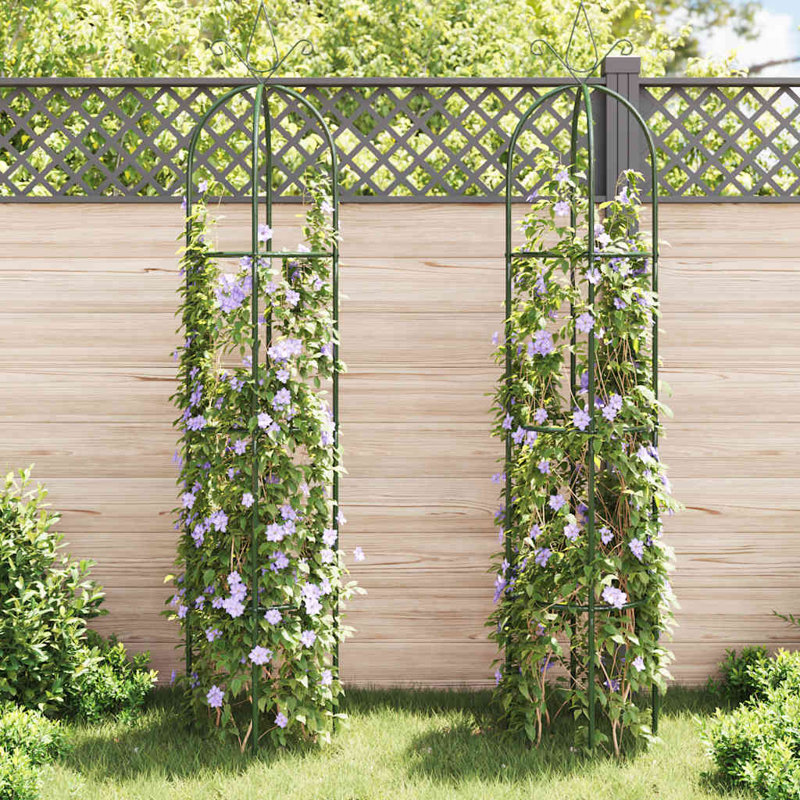 Support pour plante grimpante d'extérieur standard