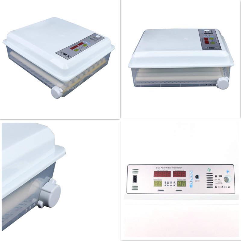 Addai Chicken Egg Incubator For Up To 60+ Eggs