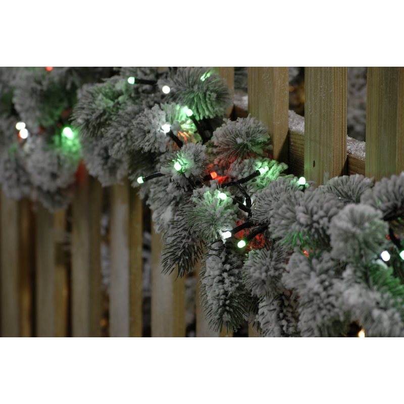 1.27cm LED Indoor / Outdoor String Lights