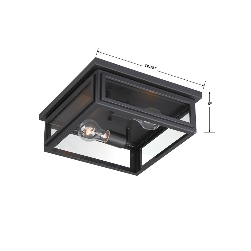 Matte Black and Clear Glass 2-Light Outdoor Flush Mount