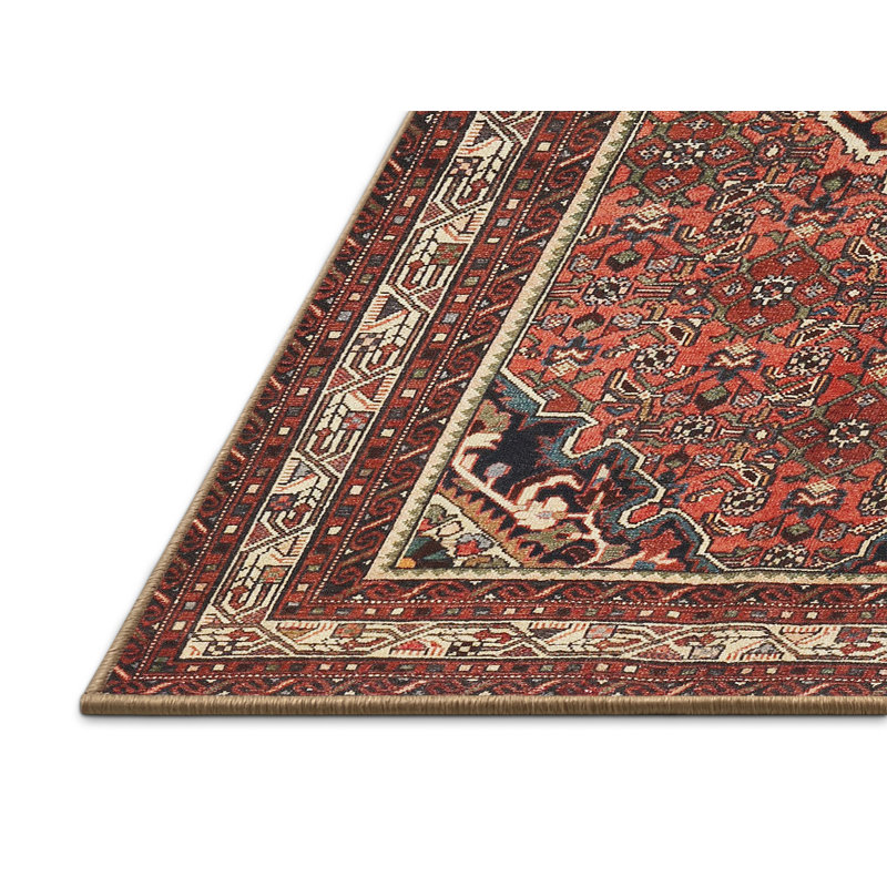 Tapis brun Southwestern, Rectangle 5 pi x 7 pi